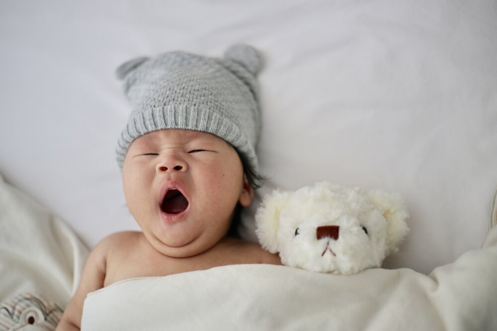 baby bear